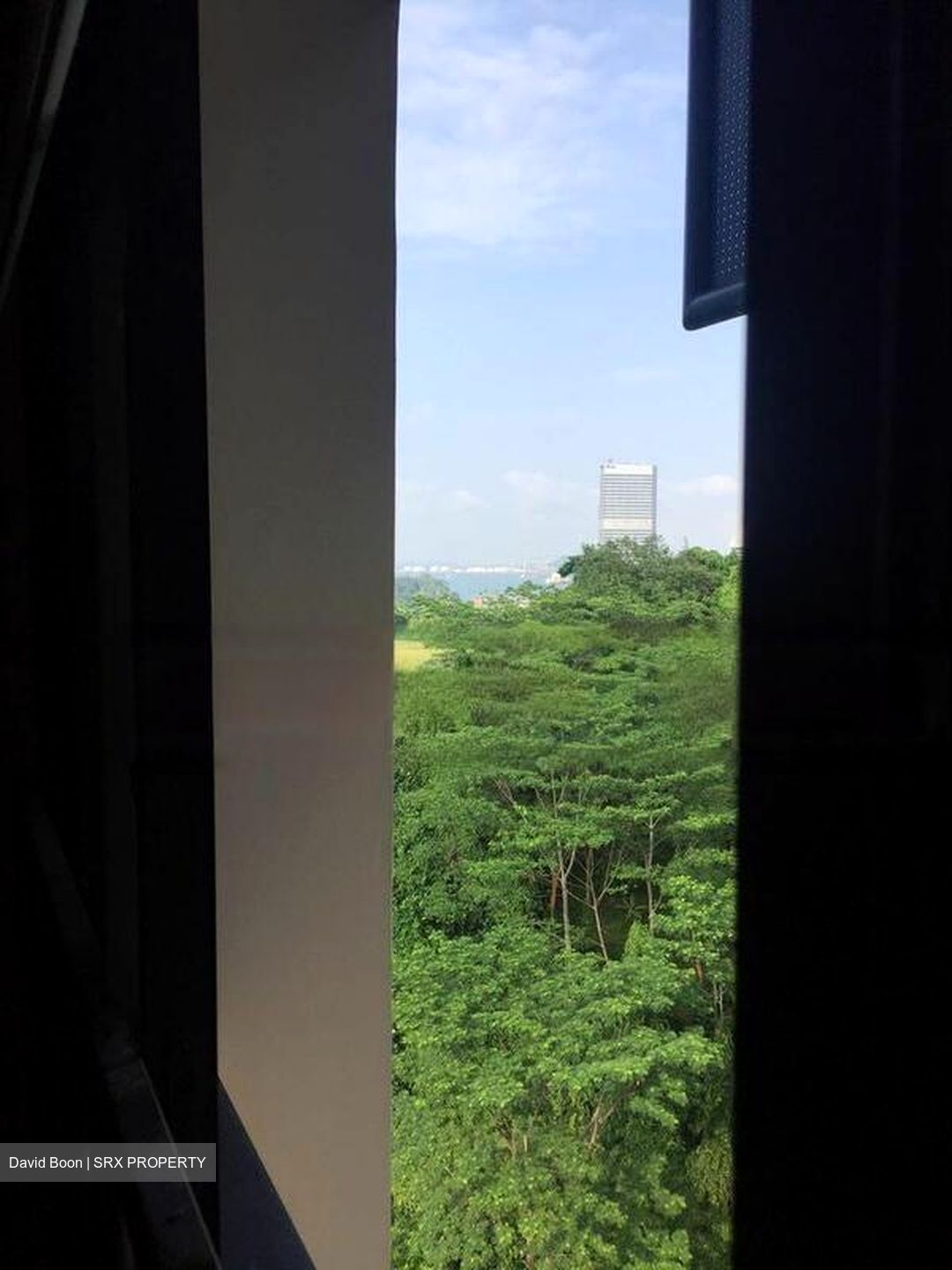 Blk 111A Depot Heights (Bukit Merah), HDB 5 Rooms #445375081